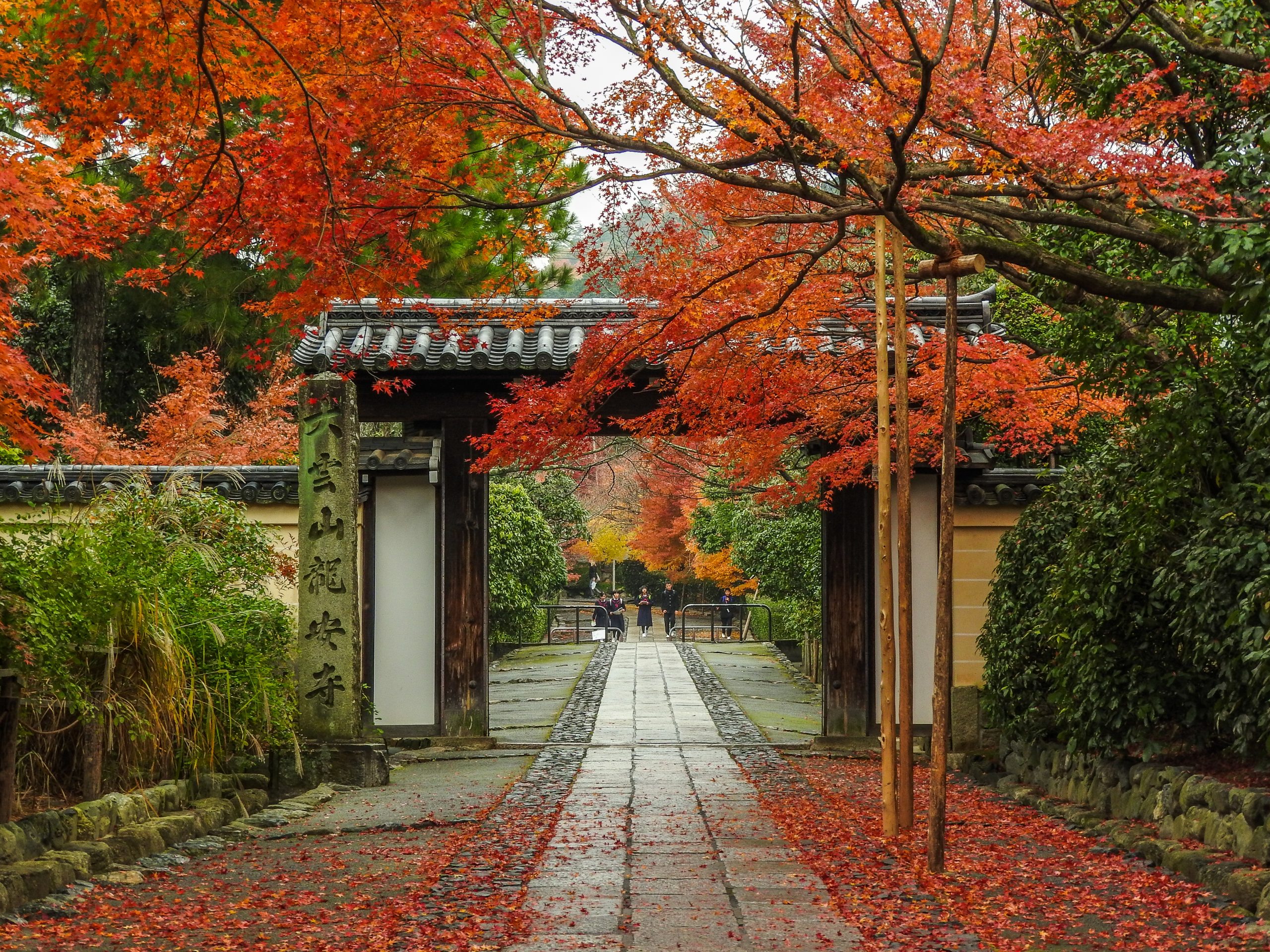 Japanese culture dream country: Historic temple with autumn leaves in Japan